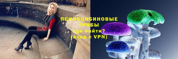 ПСИЛОЦИБИНОВЫЕ ГРИБЫ Абаза