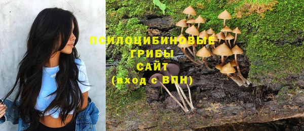 кокс Алзамай